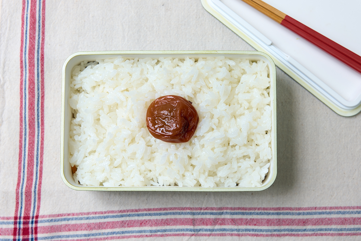 おかずがギュッとかくれんぼ ワクワク宝探し弁当