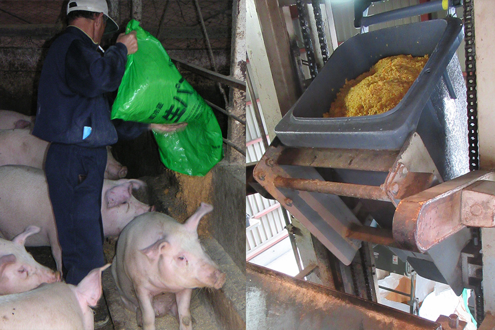 食品製造の過程で出る食材は、機械にかけて乾燥。畜産の飼料として利用する。