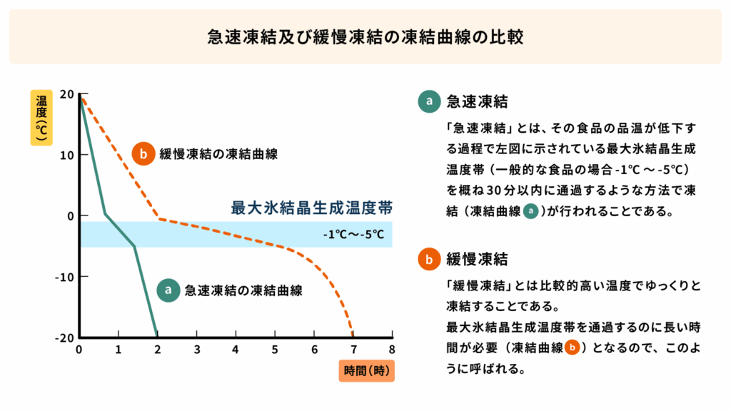 急速凍結及び緩慢凍結の凍結曲線の比較の画像